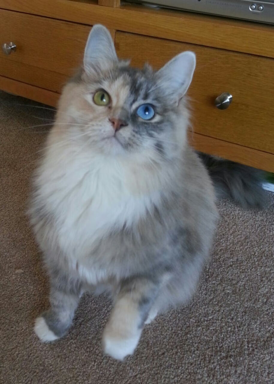 末节风暴！山西队逆转剧本的致命十二分钟