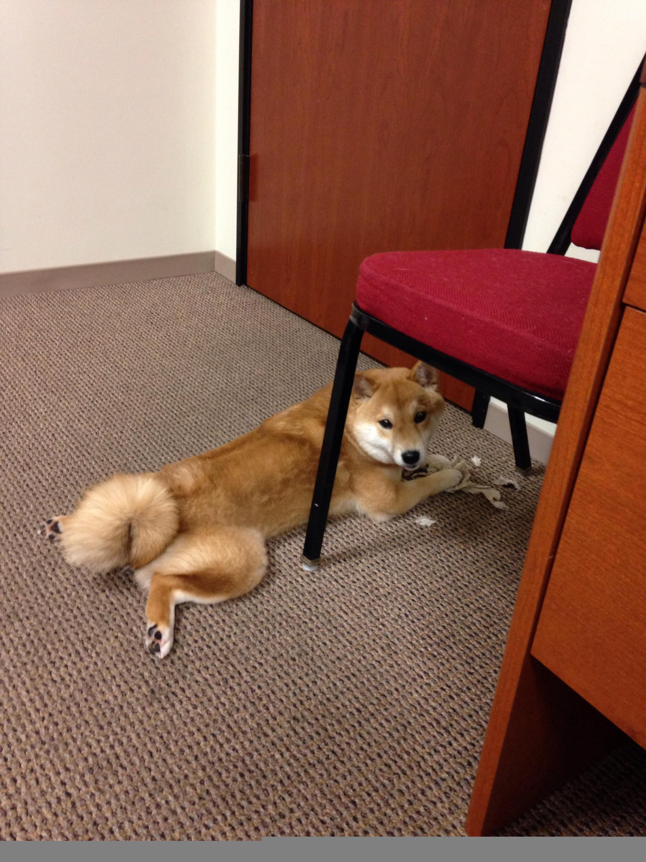 绝境锻造英雄,从土耳其的足球战场到NBA的抢七时刻