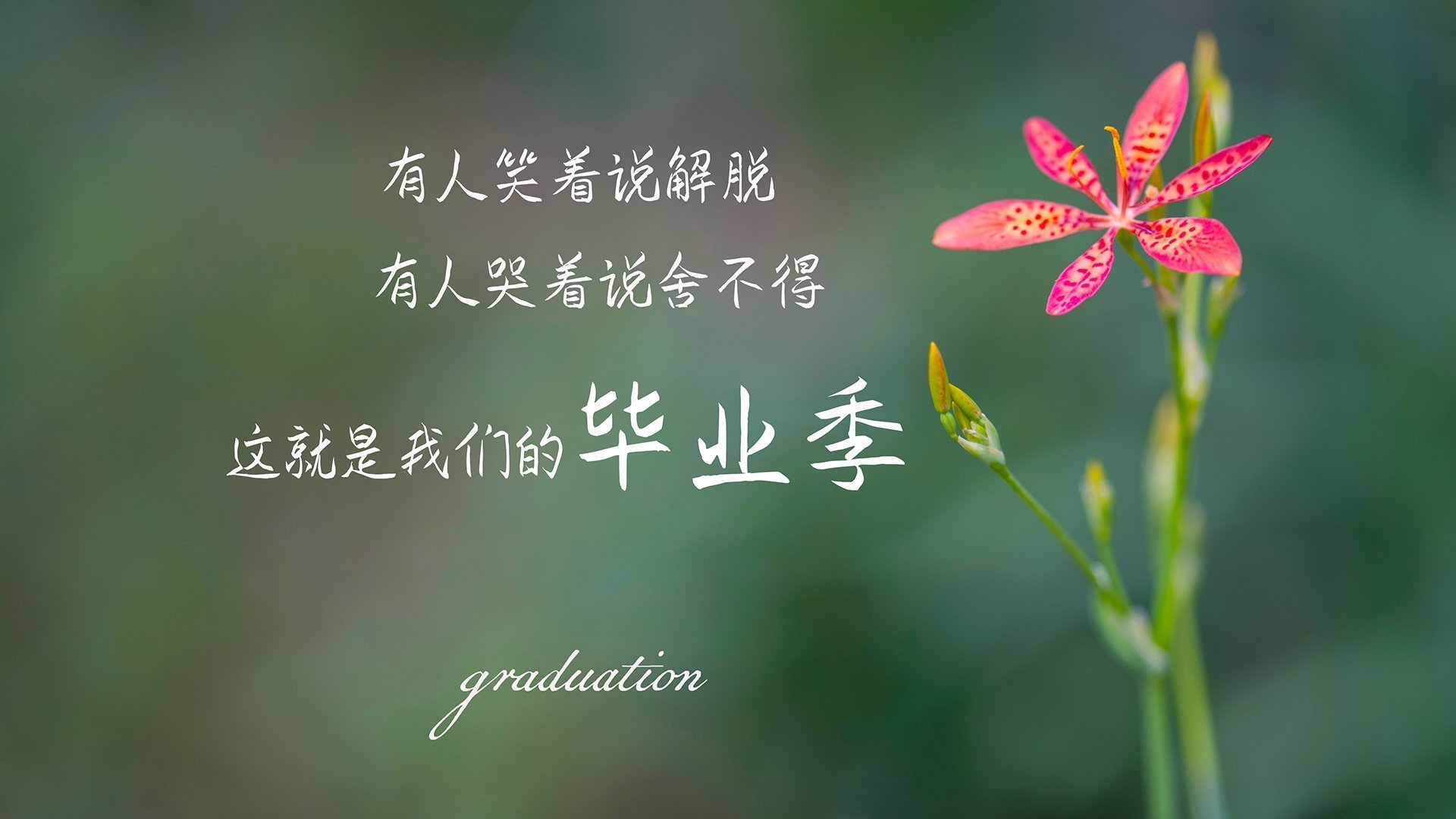 欧冠黑金,一个加纳人如何用节奏为马赛谱逆转狂想