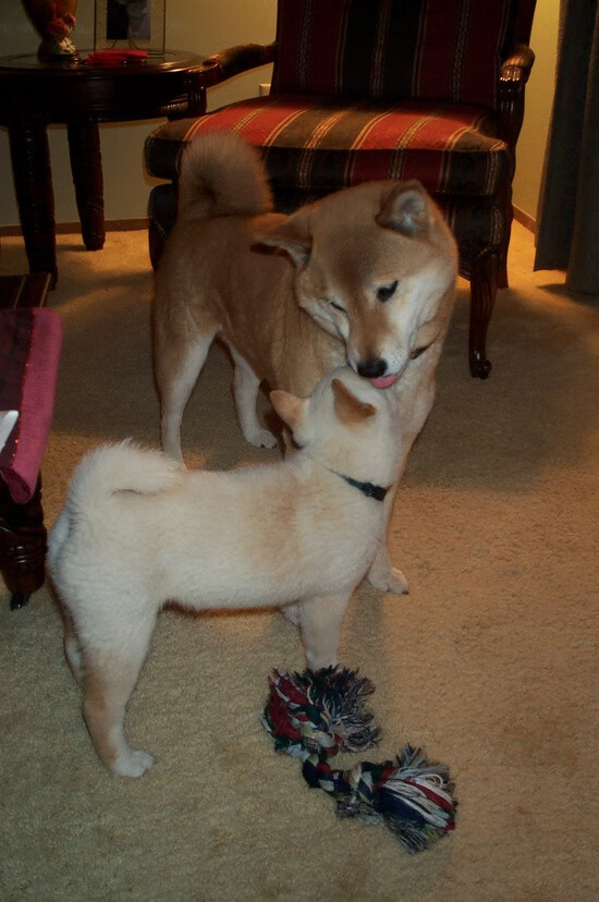 当巴黎铁塔矗立珠江畔,文班亚马如何在一夜之间重塑中国篮球的认知版图