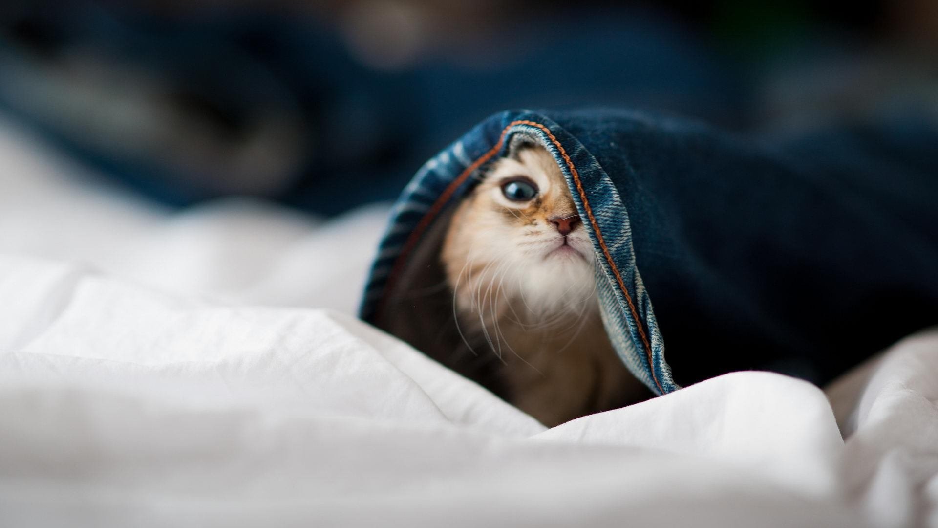 唯一性的定义，毕尔巴鄂如何用一场正面击溃诠释球队灵魂，恩佐成为关键先生