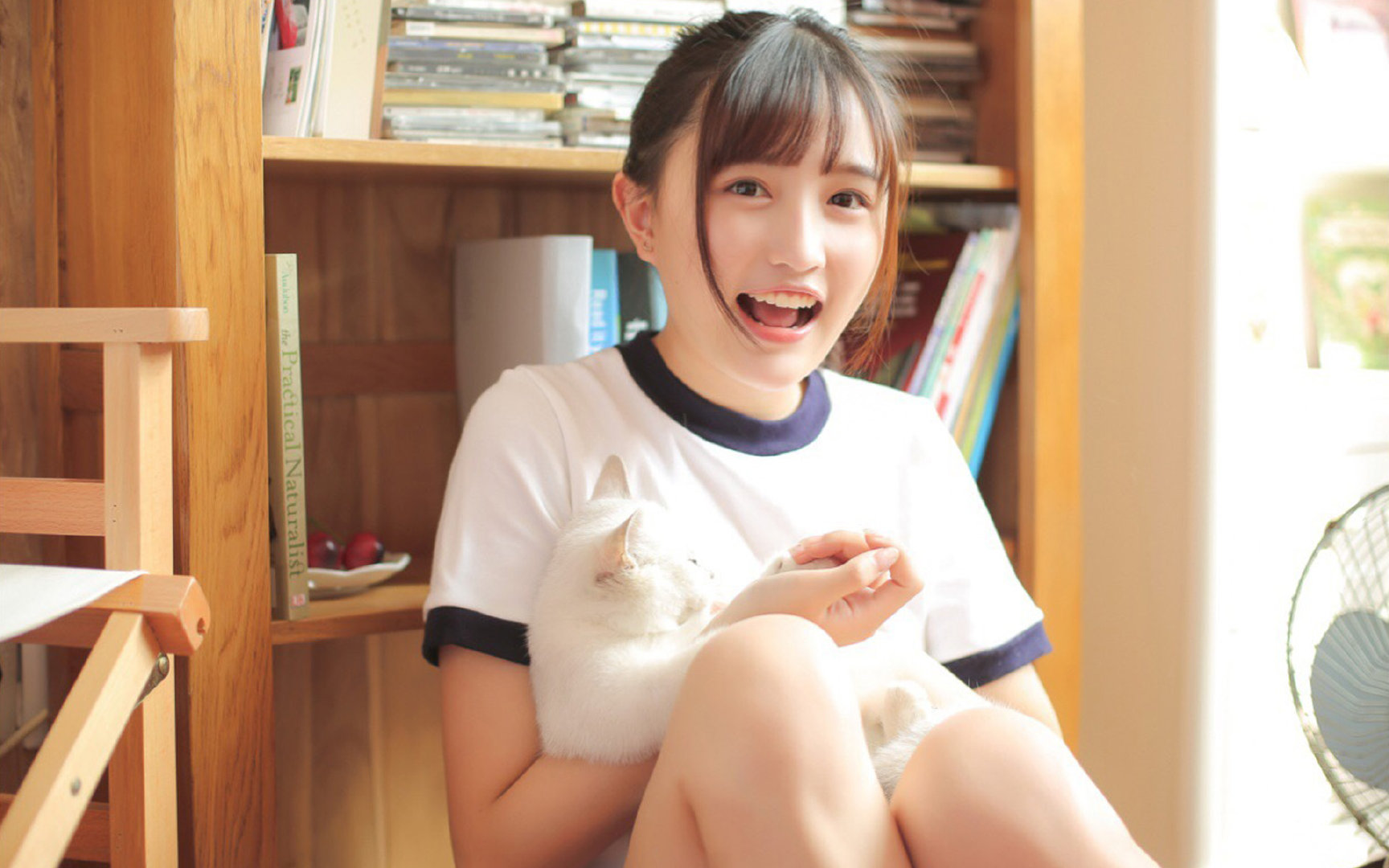 德式双城记，哈弗茨哲学致胜，南美风暴席卷威斯特法伦