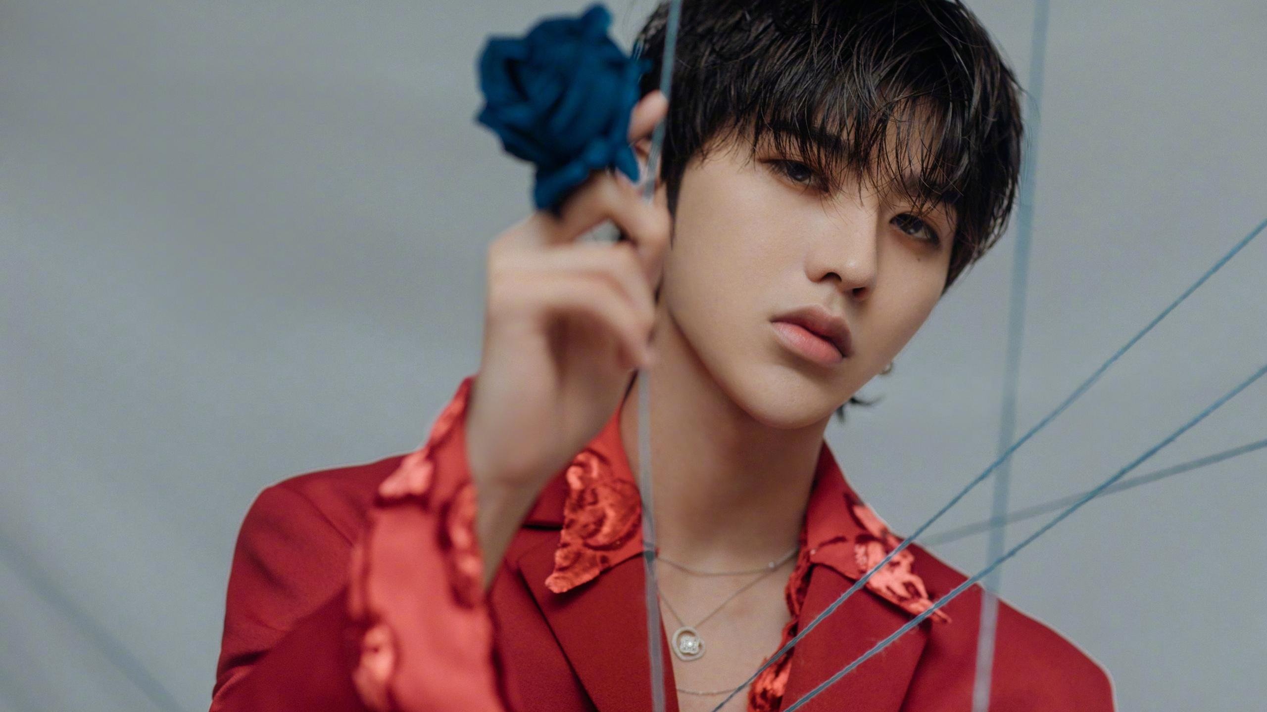 优雅与獠牙,当京多安的冷静撕碎三狮军团的梦