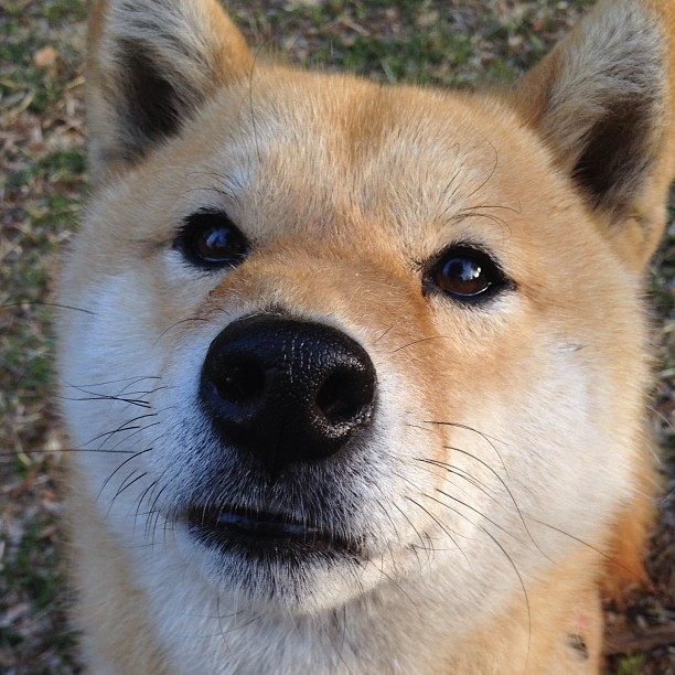 双城记，当北京篮球的坚韧照亮摩纳哥雨战