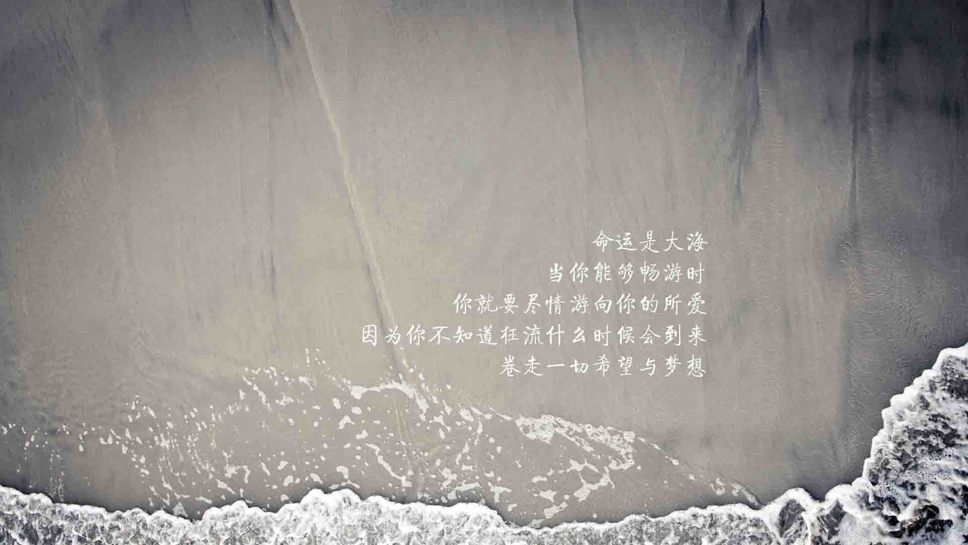 以下是为您撰写的文章标题及正文内容
