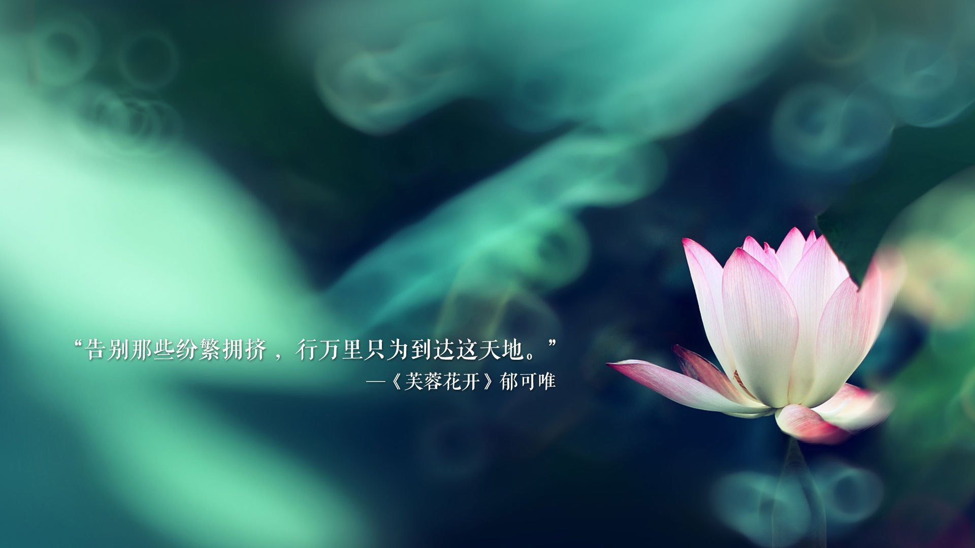 极昼之矛刺破热浪，布罗佐维奇化身北欧魔术师，瑞典补时绝杀泰国引爆B组悬念