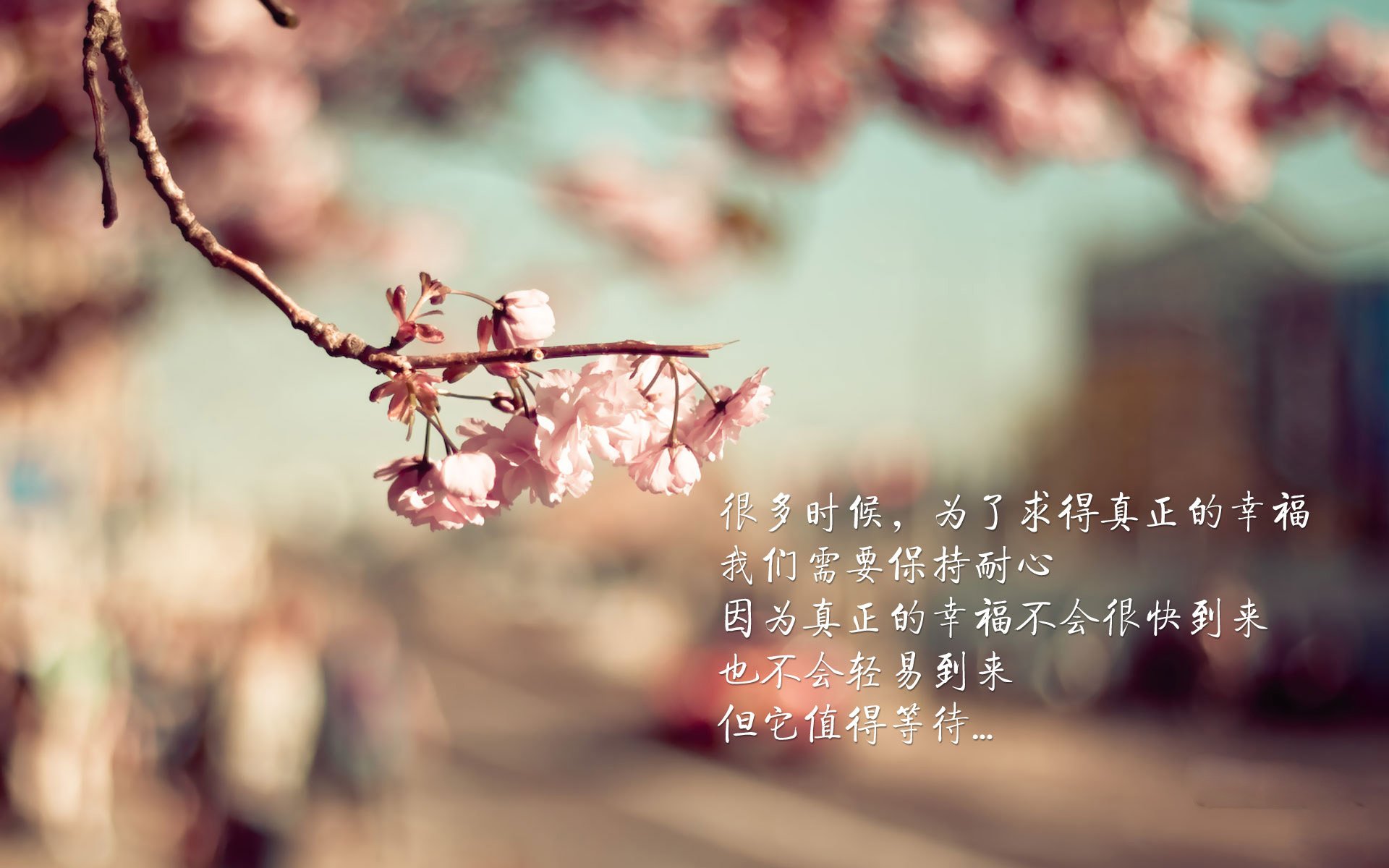 2026世界杯A组悬念破灭，智利5-1摧枯拉朽，罗德里戈一人定义不可复制的经典