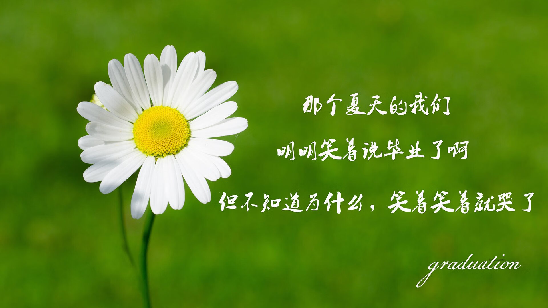 秘鲁奇迹，莱万多夫斯基归化首秀主导比赛，中场控制成制胜关键—2026世界杯D组焦点战纪实