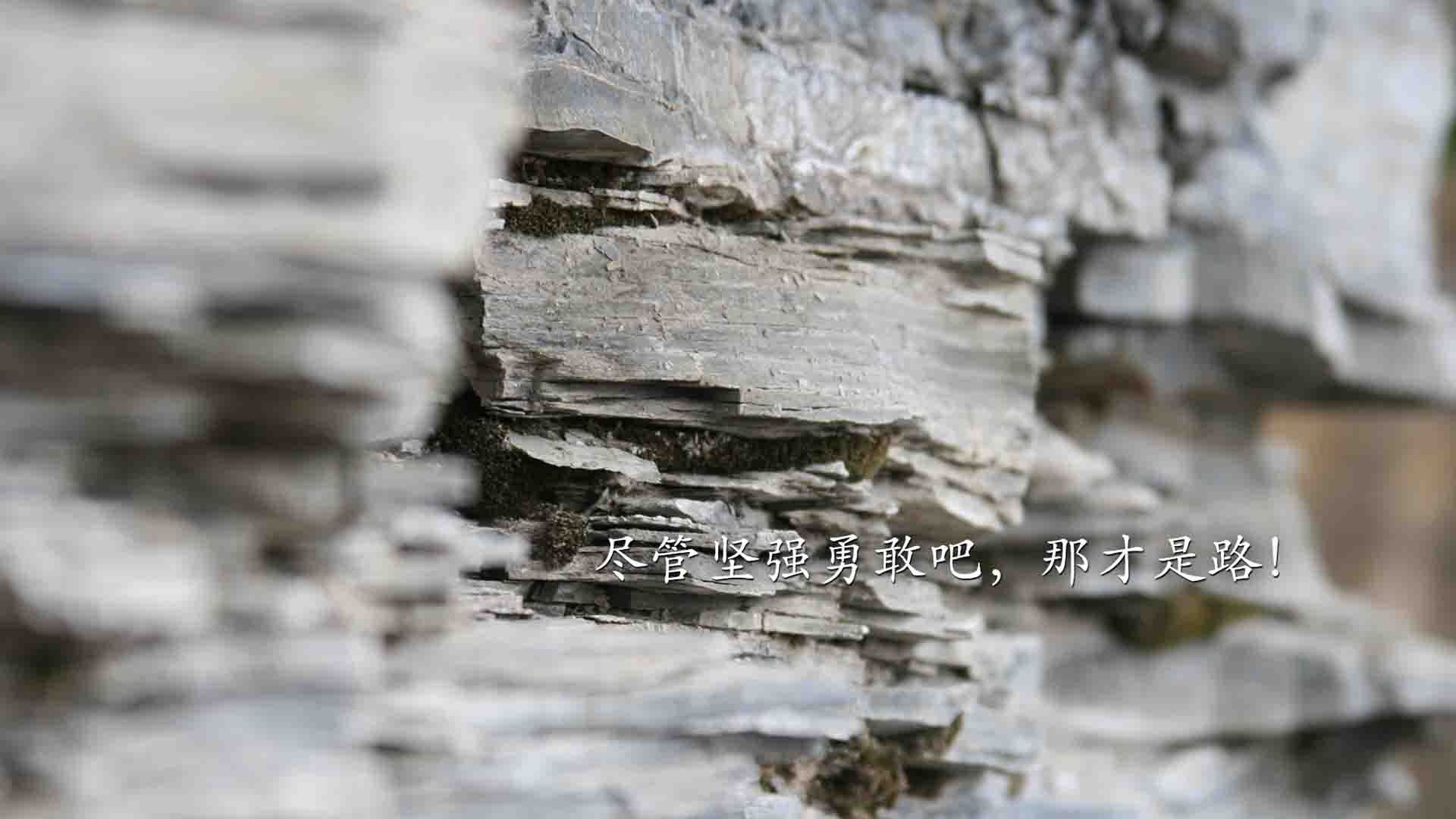 孤星之舞与袋鼠之围，齐耶赫的闪耀，难掩澳大利亚中场铁幕下的C组胜负手