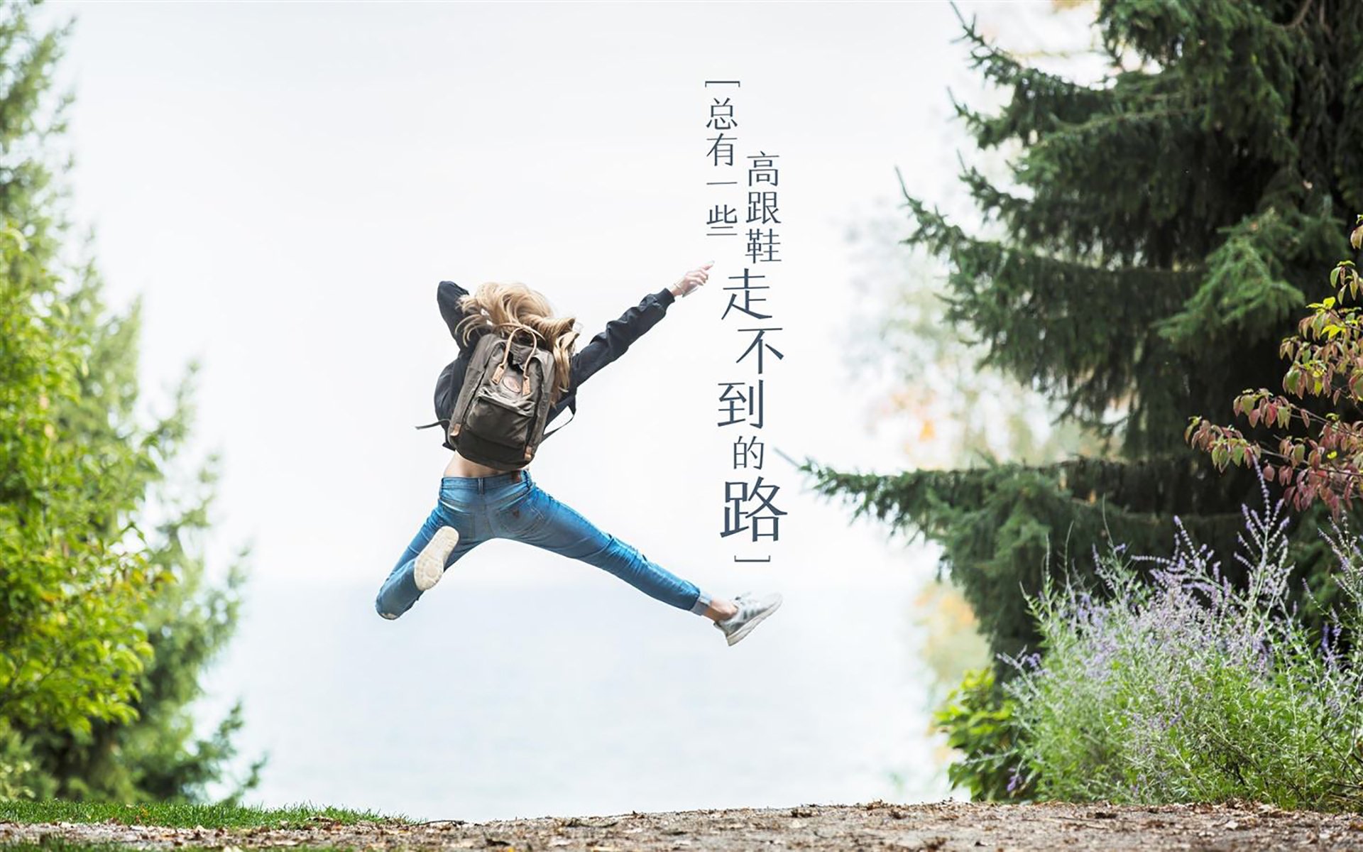 冰与火之歌,2026世界杯B组,枫叶之国的致命反击如何颠覆东瀛风暴